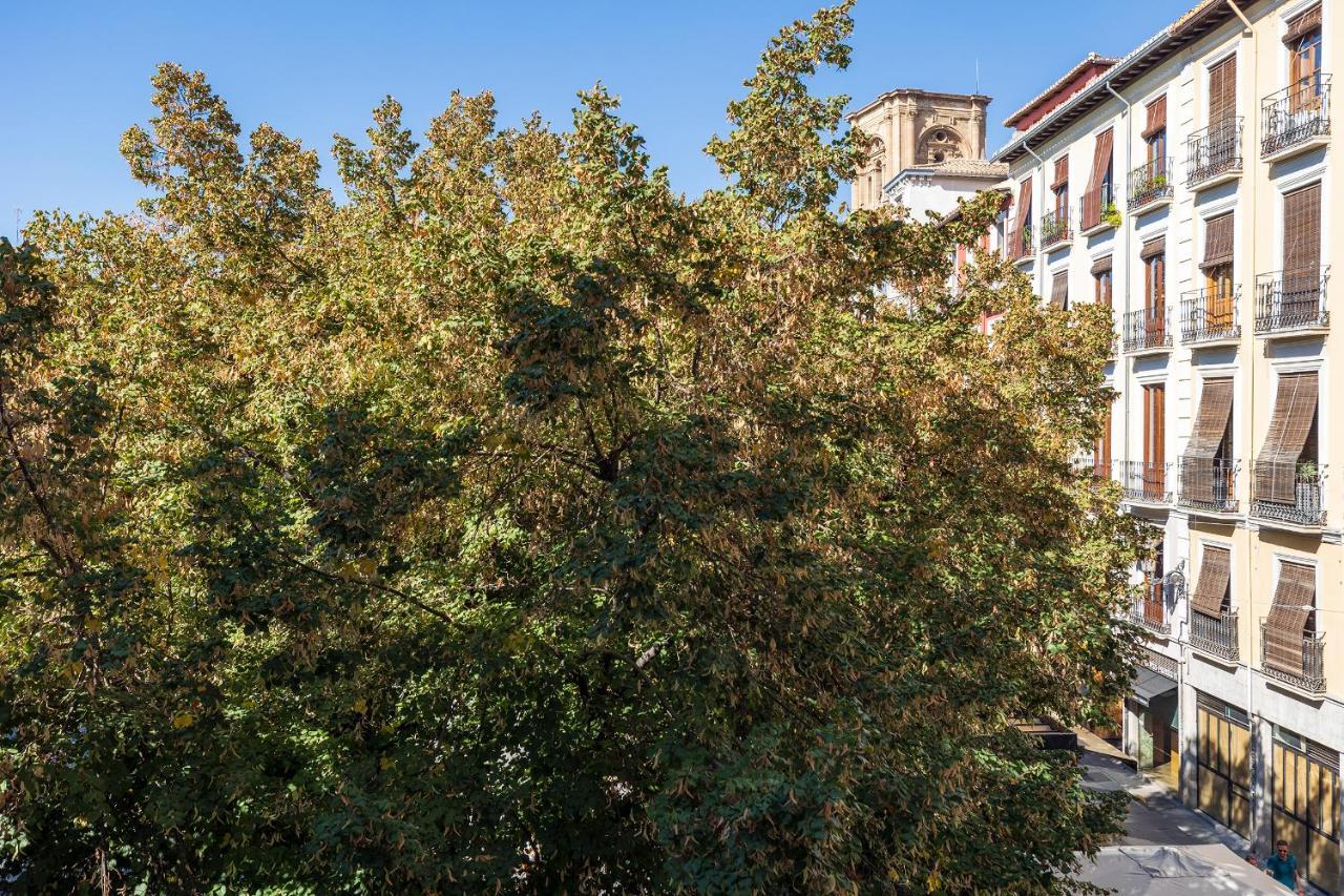 Appartamento Dreaming Bib Rambla - Free Parking Granada Esterno foto
